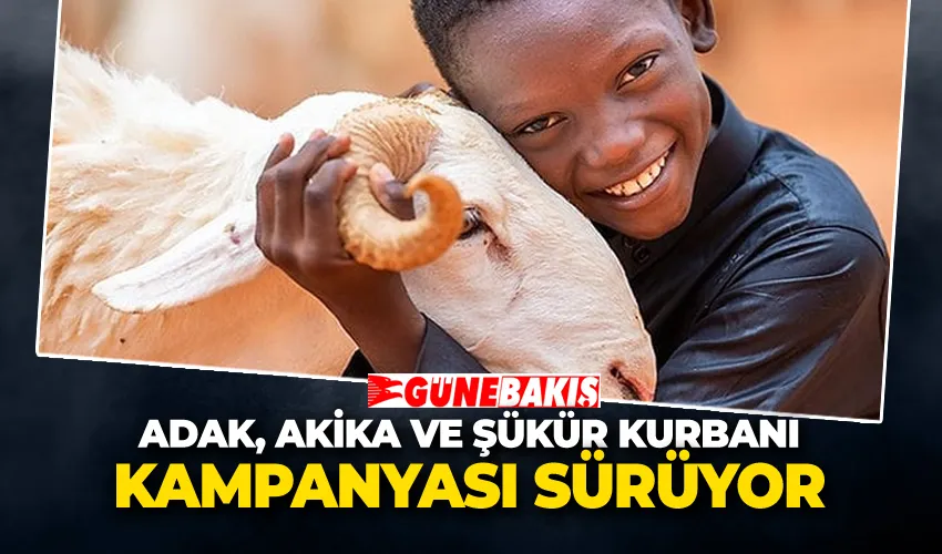 Adak, Akika ve Şükür Kurbanı Kampanyası Sürüyor