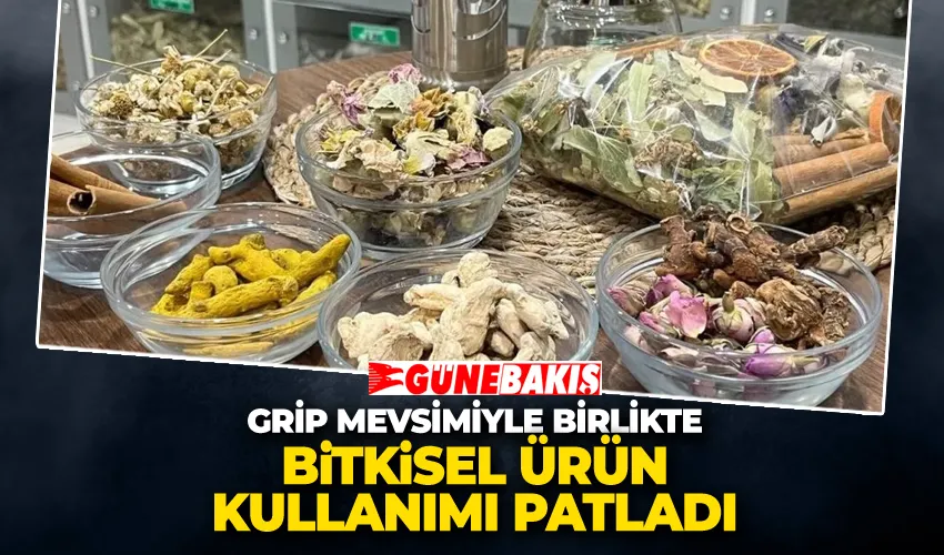 Grip Mevsimiyle Birlikte Bitkisel Ürün Kullanımı Patladı