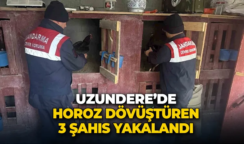 Uzundere’de horoz dövüştüren 3 şahıs yakalandı