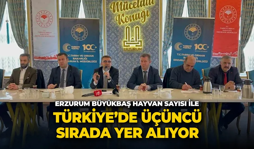 Erzurum büyükbaş hayvan sayısı ile Türkiye’de üçüncü sırada yer alıyor