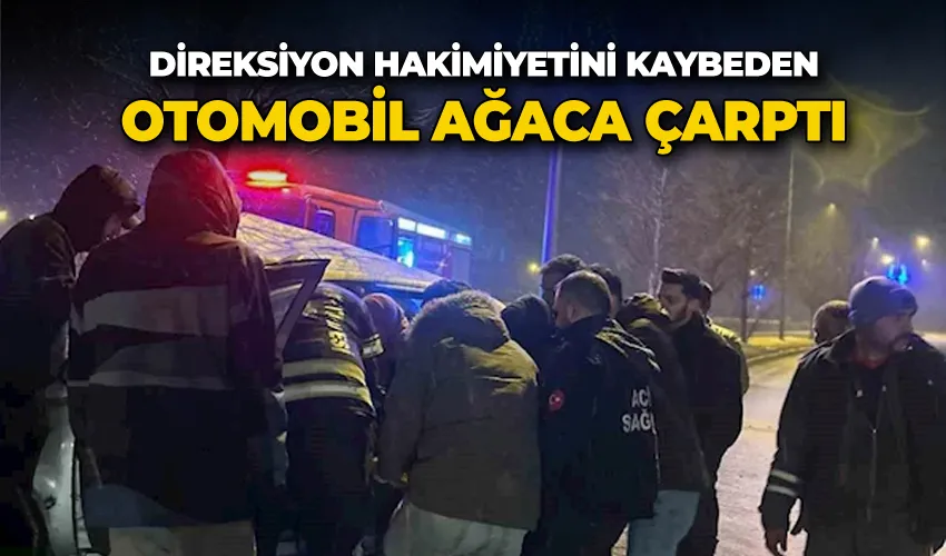 Direksiyon hakimiyetini kaybeden otomobil ağaca çarptı