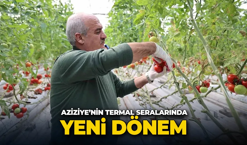 Aziziye’nin termal seralarında yeni dönem