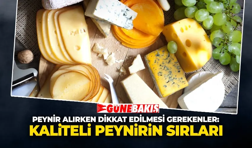 Peynir Alırken Dikkat Edilmesi Gerekenler: Kaliteli Peynirin Sırları