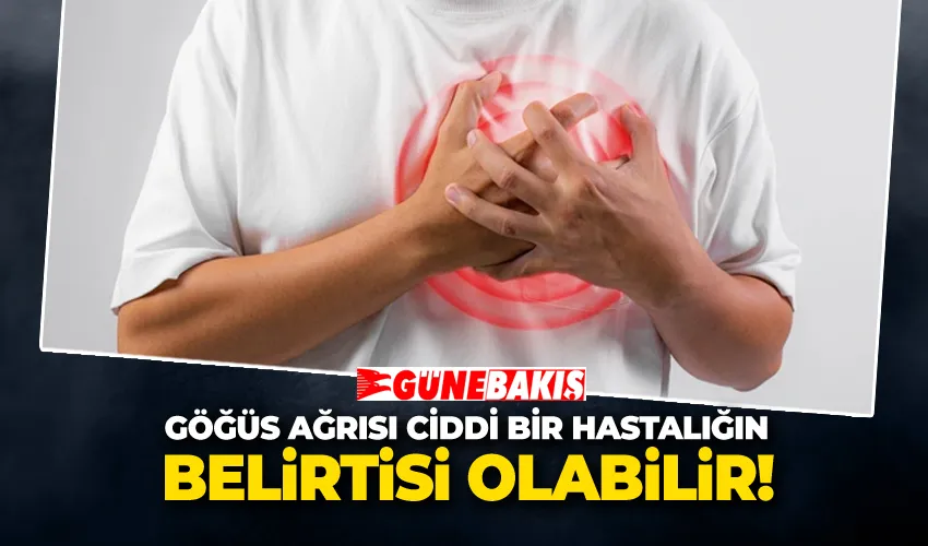 Göğüs Ağrısı Ciddi Bir Hastalığın Belirtisi Olabilir! 