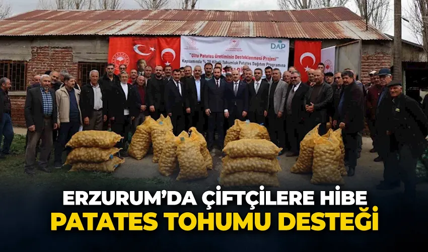 Çiftçilere hibe patates tohumu desteği