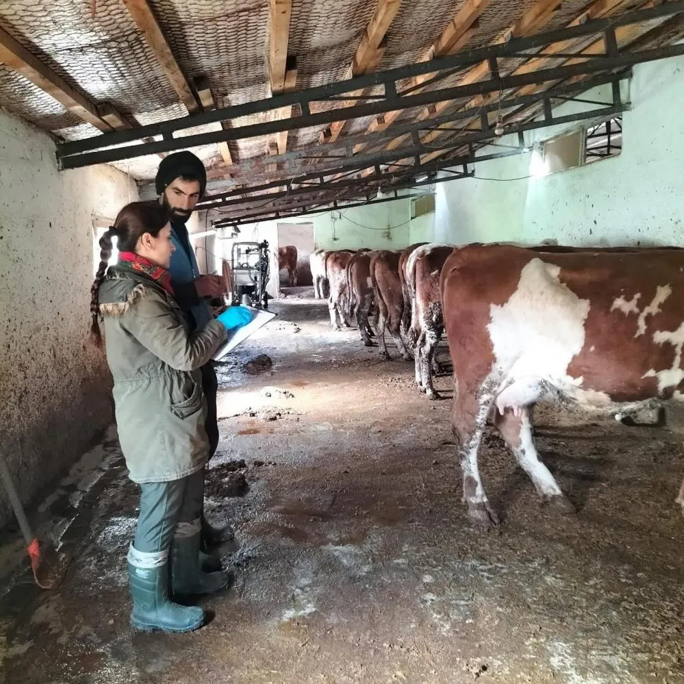 Elazığ’da aşı ve küpeleme çalışması