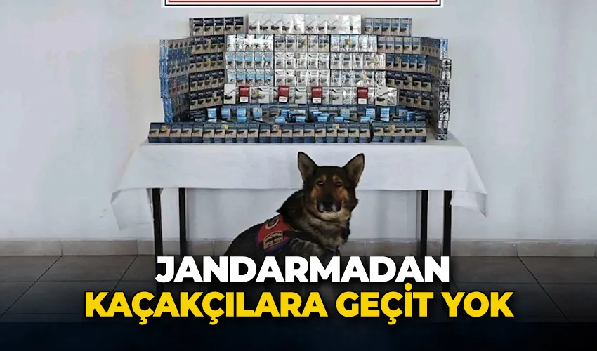Jandarmadan kaçakçılara geçit yok