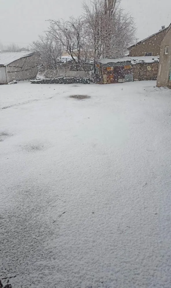 Bulanık