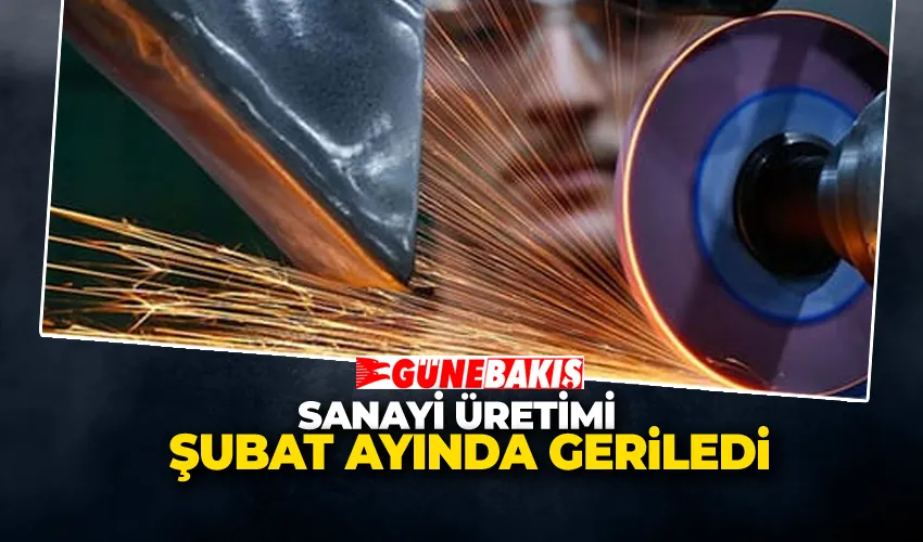 Sanayi Üretimi Şubat Ayında Geriledi