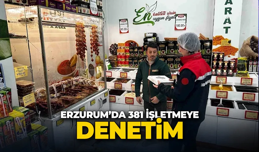 Erzurum’da 381 işletmeye denetim