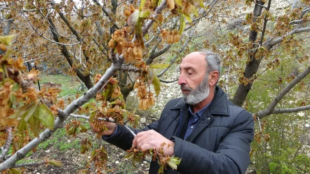 Malatya