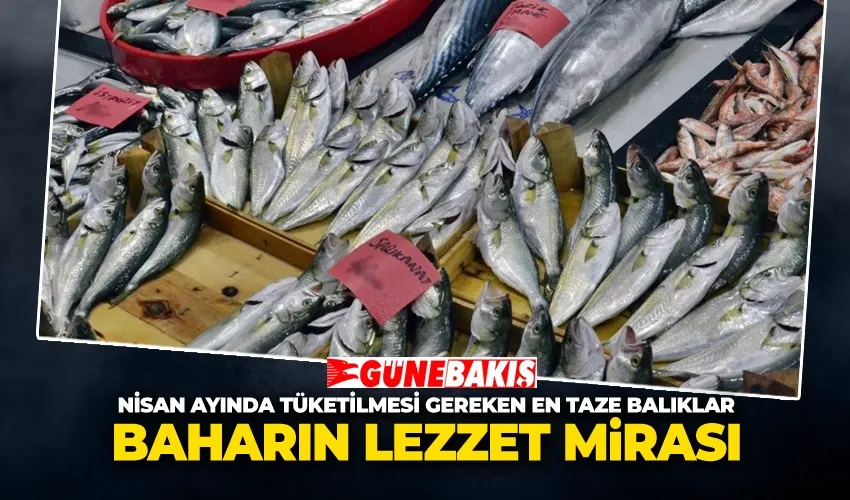 Baharın Lezzet Mirası: Nisan Ayında Tüketilmesi Gereken En Taze Balıklar