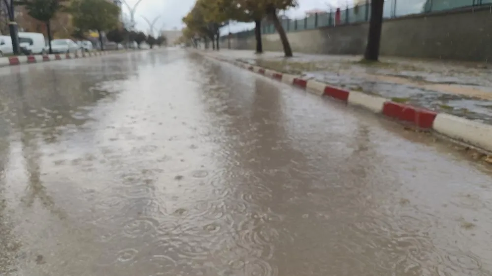 Erciş’te yağmur yağışı etkili oldu