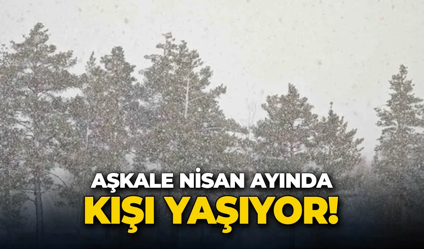 Aşkale nisan ayında kışı yaşıyor