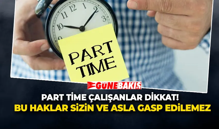 Part Time Çalışanlar Dikkat! Bu Haklar Sizin ve Asla Gasp Edilemez