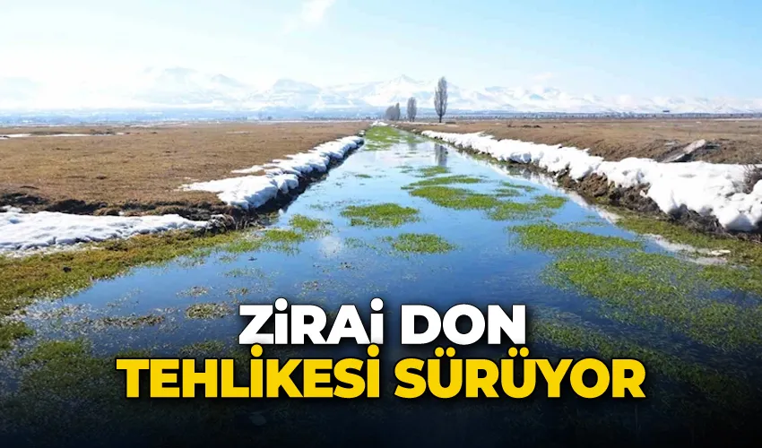 Zirai don tehlikesi sürüyor