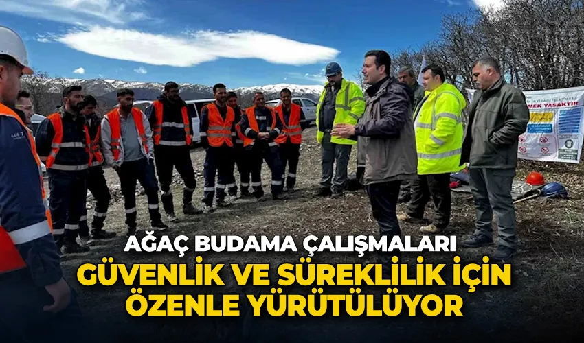 Ağaç budama çalışmaları güvenlik ve süreklilik için özenle yürütülüyor