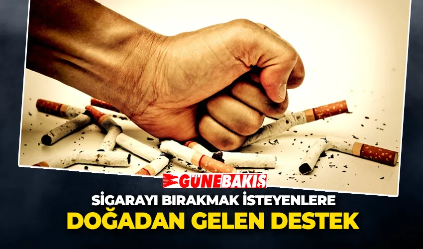 Sigarayı Bırakmak İsteyenlere Doğadan Gelen Destek