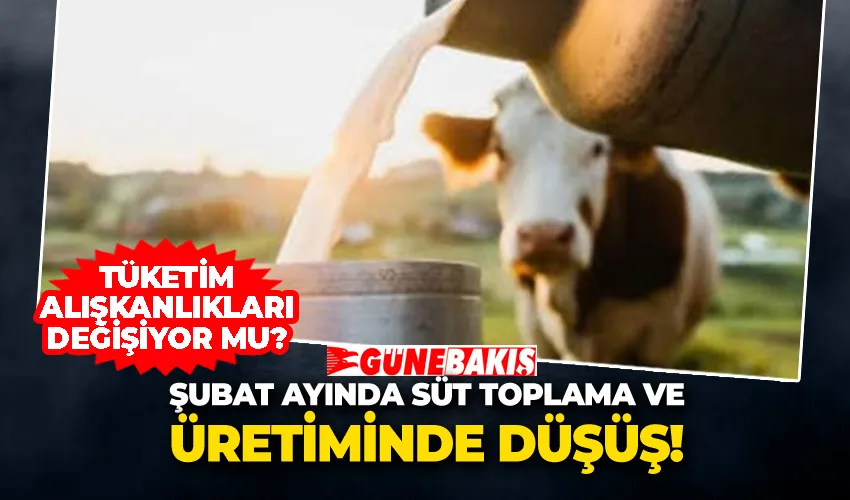 Şubat Ayında Süt Toplama ve Üretiminde Düşüş