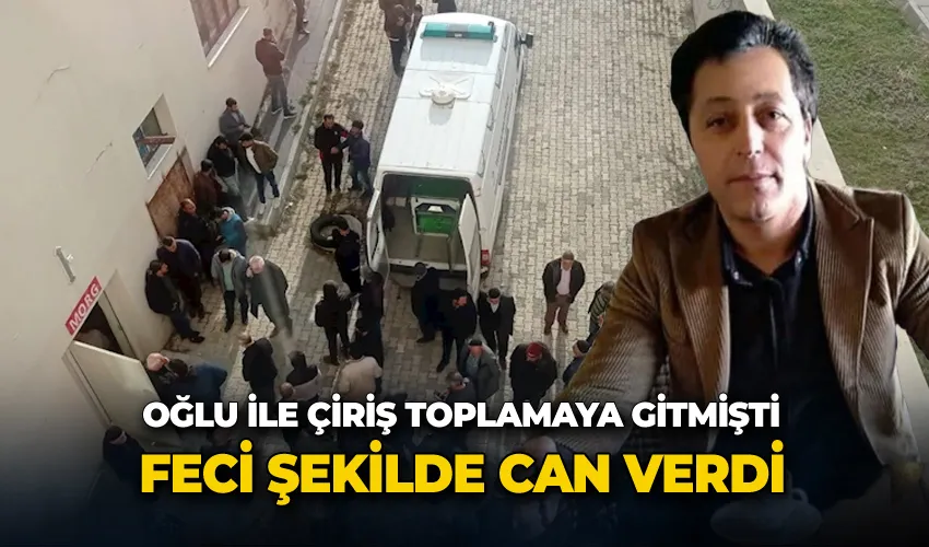 Oğlu ile çiriş toplamaya gitmişti, feci şekilde can verdi