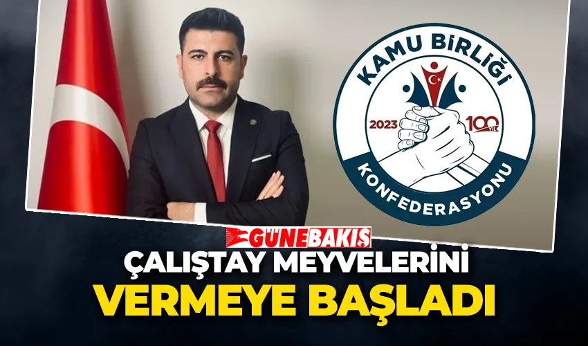 ÇALIŞTAY MEYVELERİNİ VERMEYE BAŞLADI