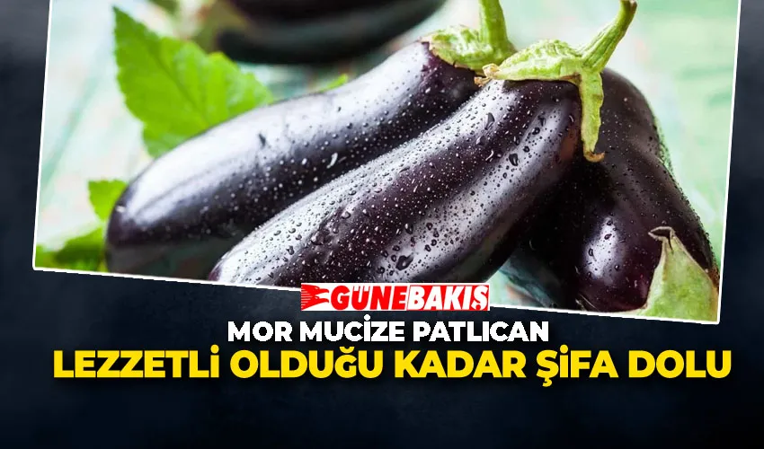 Mor Mucize Patlıcan: Lezzetli Olduğu Kadar Şifa Dolu