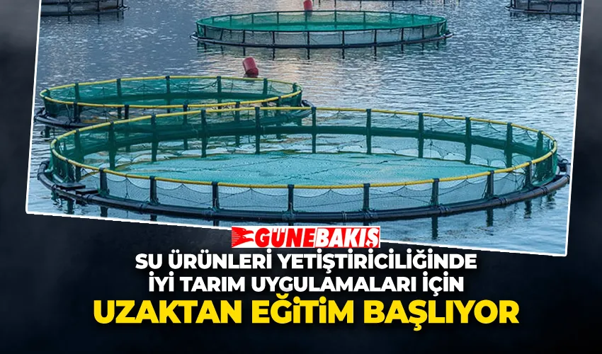 Su Ürünleri Yetiştiriciliğinde İyi Tarım Uygulamaları İçin Uzaktan Eğitim Başlıyor