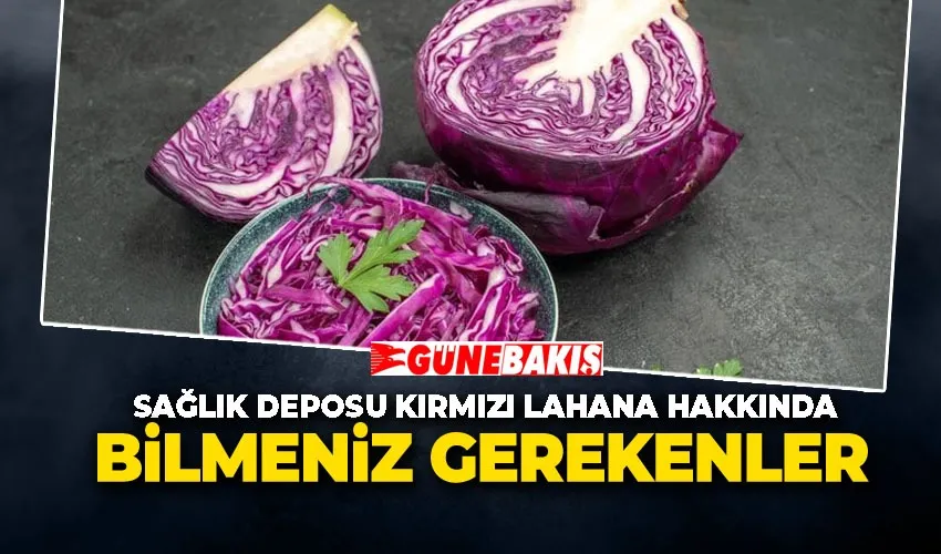 Sağlık Deposu Kırmızı Lahana Hakkında Bilmeniz Gerekenler