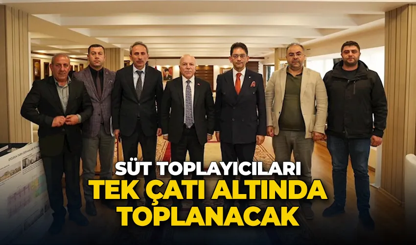 Süt toplayıcıları tek çatı altında toplanacak