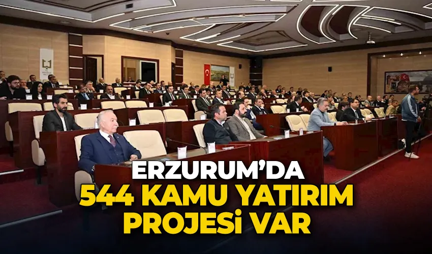 Erzurum’da 544 kamu yatırım projesi var