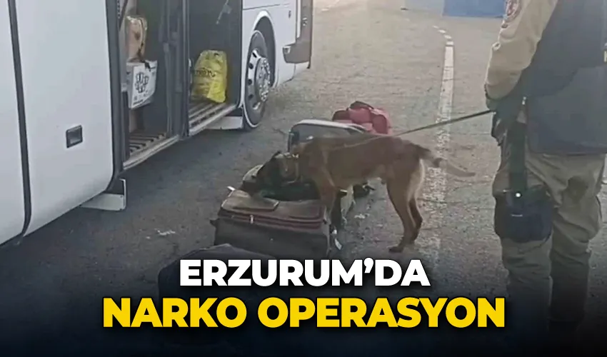 Erzurum’da narko operasyon