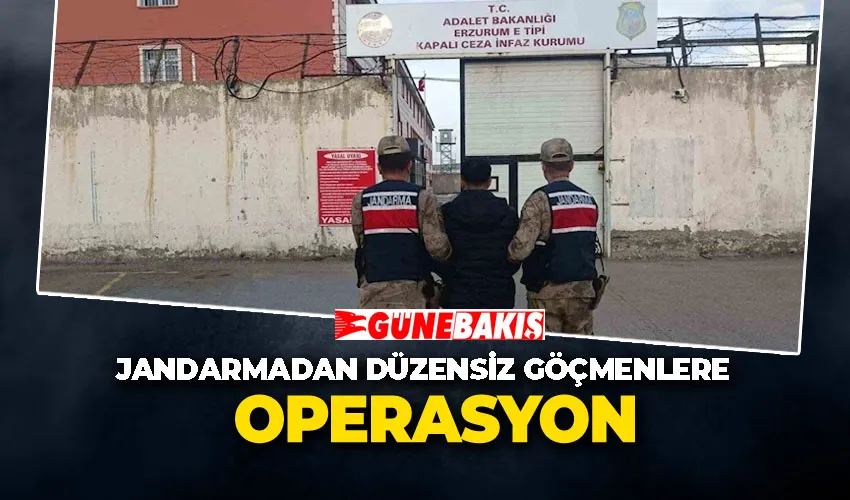 Jandarmadan düzensiz göçmenlere operasyon