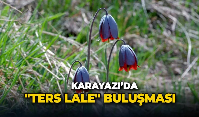 Karayazı’da 