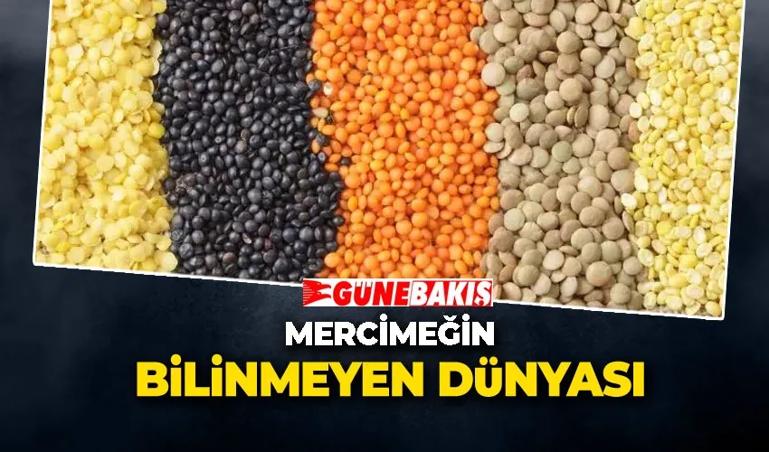 Mercimeğin Bilinmeyen Dünyası: En Sağlıklı Mercimek Hangisi?