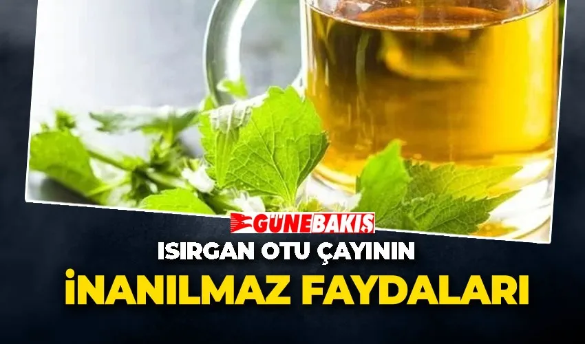 Isırgan Çayı: Doğanın Sunduğu Arınma Etkisi