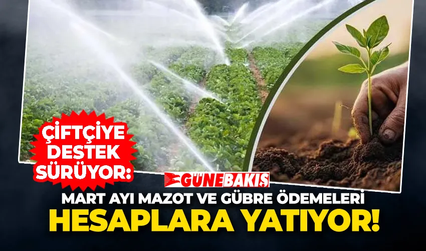 Çiftçiye Destek Sürüyor: Mart Ayı Mazot ve Gübre Ödemeleri Hesaplara Yatıyor!