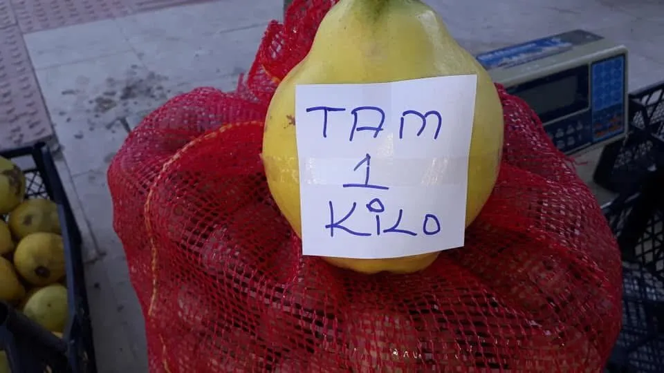 Sarıgöl