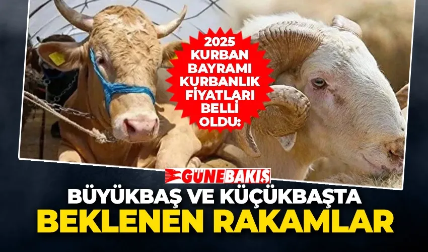 -2025 Kurban Bayramı Kurbanlık Fiyatları Belli Oldu:   -Büyükbaş ve Küçükbaşta Beklenen Rakamlar