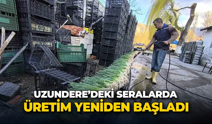 Uzundere’de seralarda üretim yeniden başladı