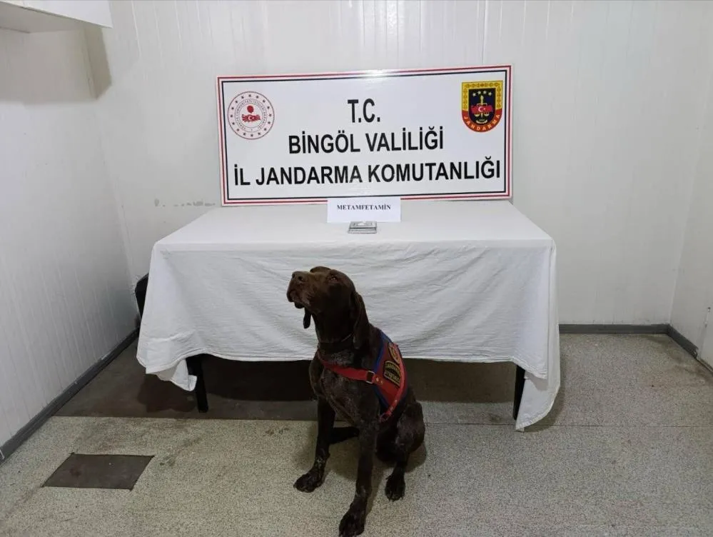 Bingöl’de uyuşturucuyla mücadele