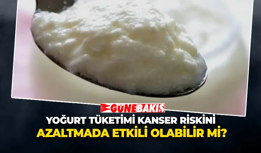 Yoğurt Tüketimi Kanser Riskini Azaltmada Etkili Olabilir Mi?