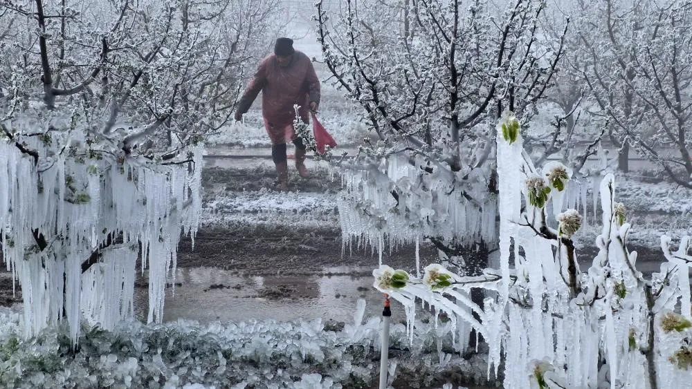 Zirai Don Meclis Araştırma Komisyonu 14 Mayıs