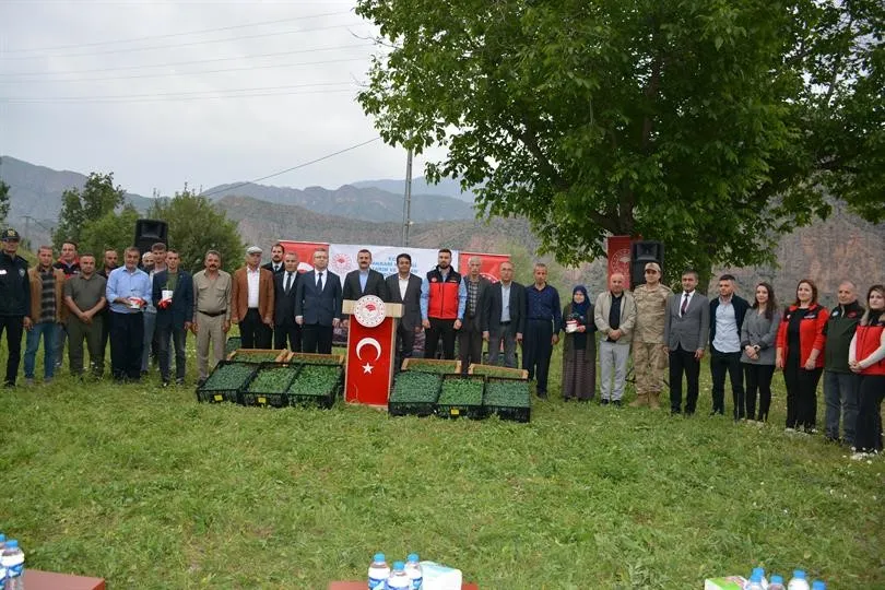 Hakkari