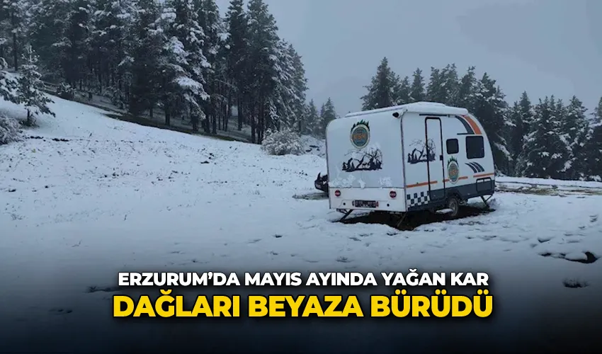 Erzurum’da mayıs ayında yağan kar dağları beyaza bürüdü