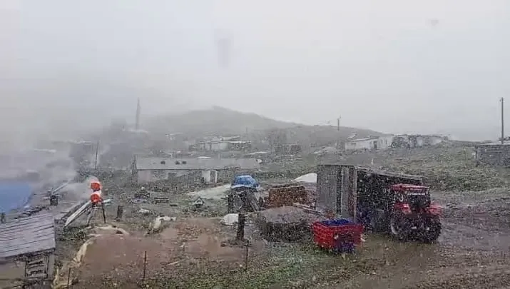 Kars