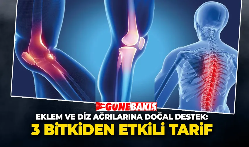 Eklem ve Diz Ağrılarına Doğal Destek: 3 Bitkiden Etkili Tarif