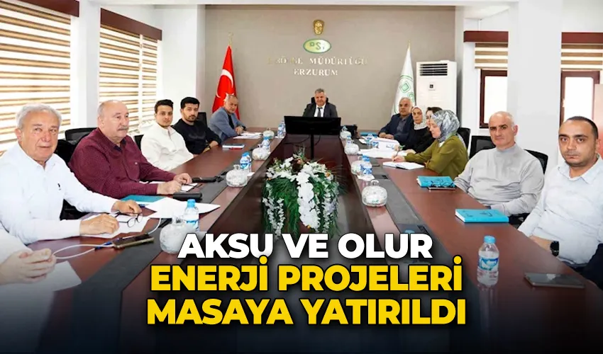 Aksu ve Olur enerji projeleri masaya yatırıldı