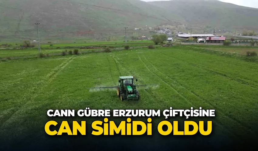 Cann gübre Erzurum çiftçisine can simidi oldu