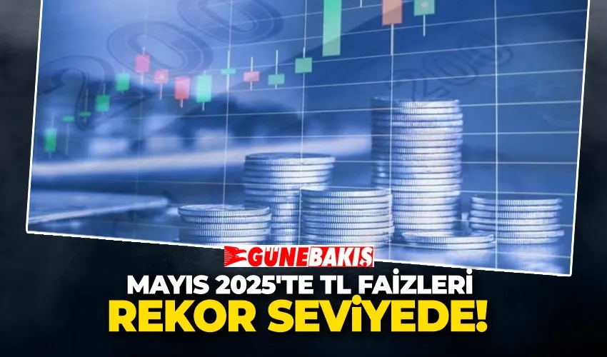 Mayıs 2025