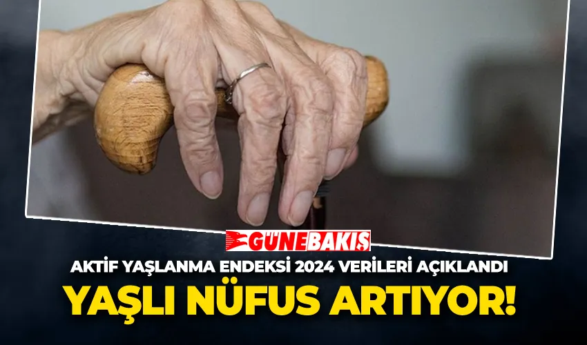 Aktif Yaşlanma Endeksi 2024 Verileri Açıklandı!  Yaşlı Nüfus Artıyor